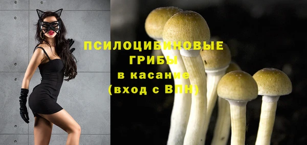 PSILOCYBIN Абинск